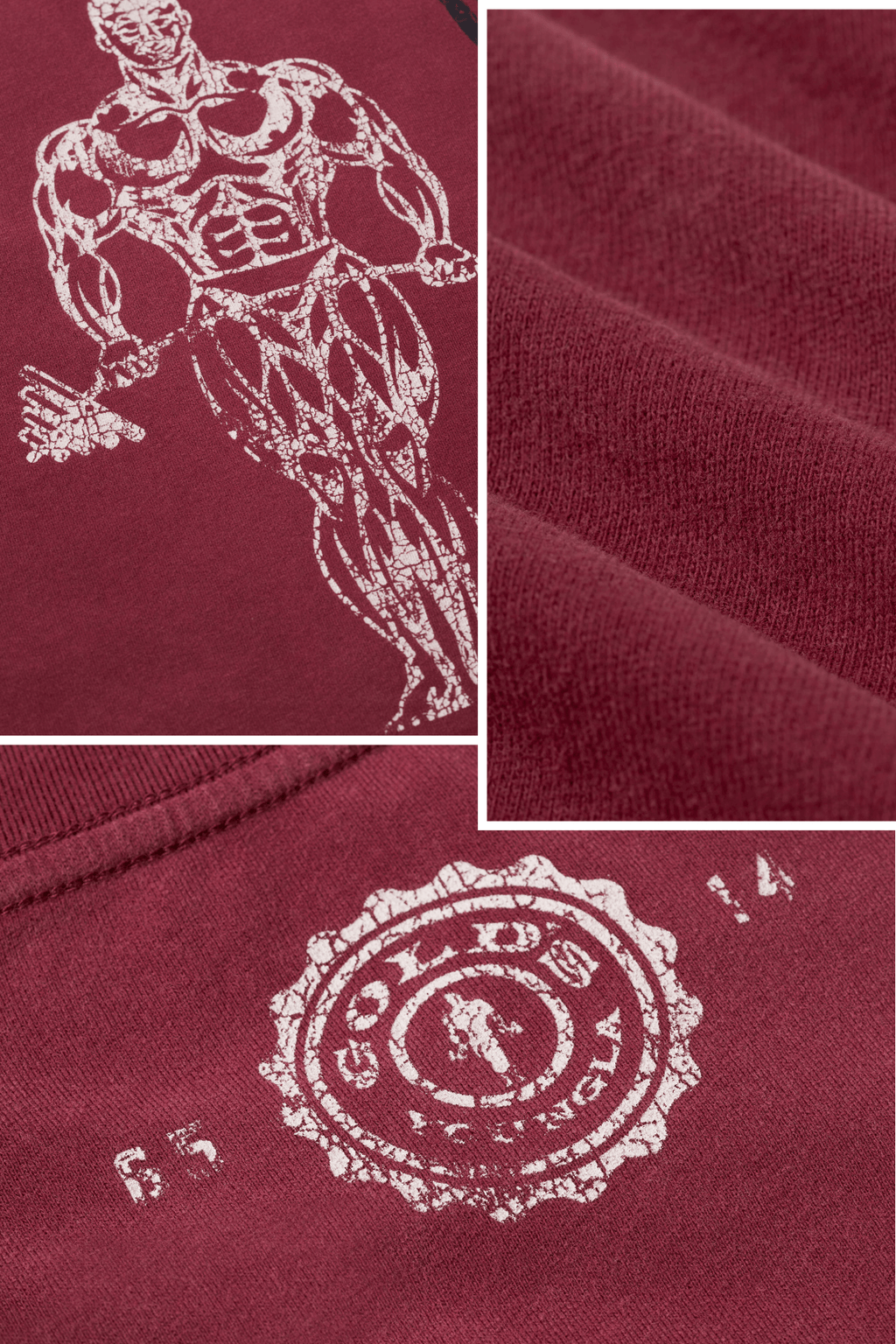 4213 - Gold's Iron Legacy Icon T-Shirts