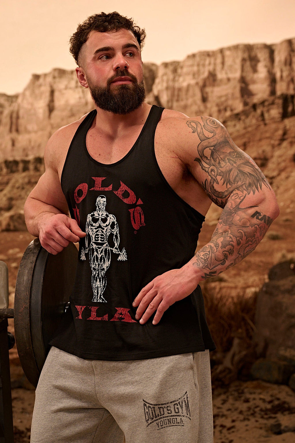 3003 - Gold's Iron Legacy Icon Stringer