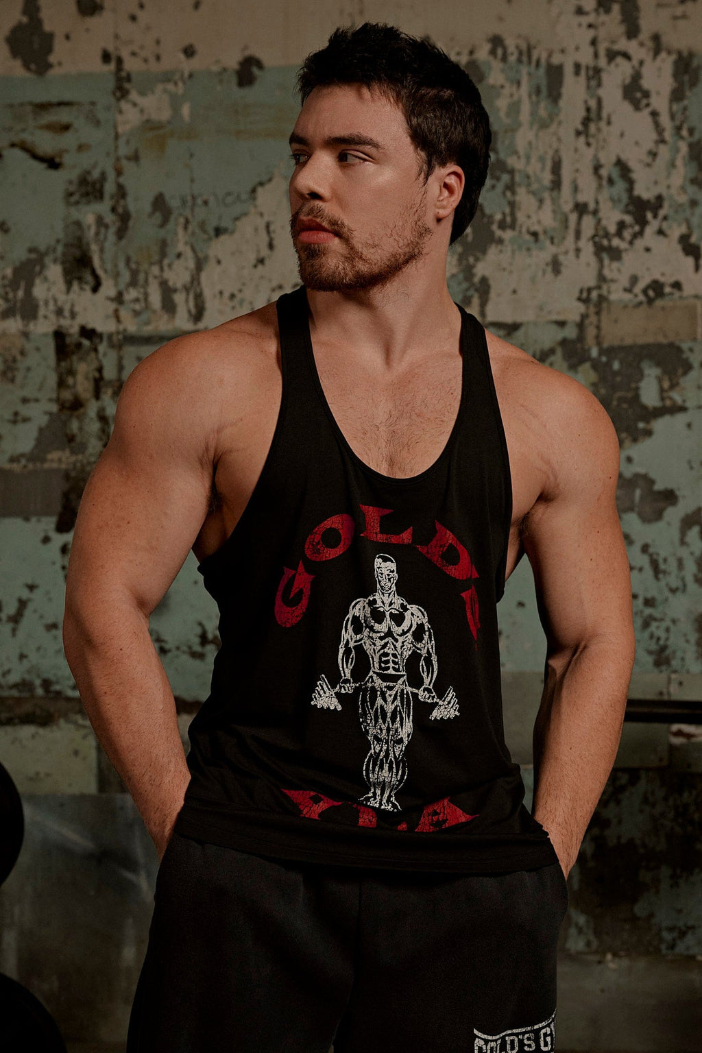 3003 - Gold's Iron Legacy Icon Stringer